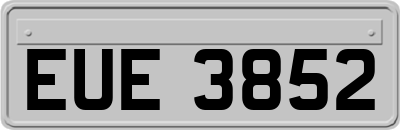 EUE3852
