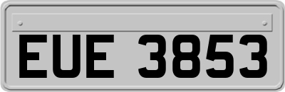 EUE3853