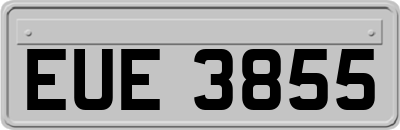 EUE3855