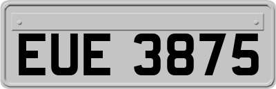 EUE3875