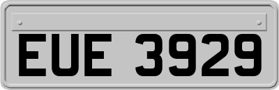 EUE3929