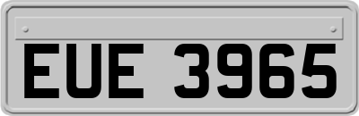 EUE3965