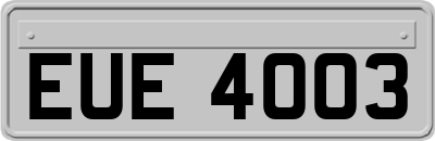 EUE4003