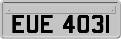 EUE4031