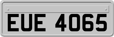EUE4065