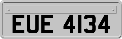 EUE4134