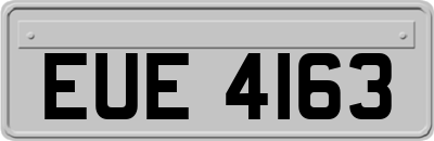 EUE4163