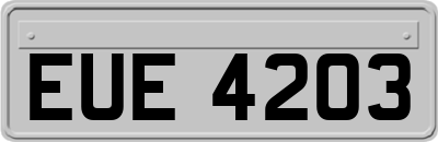 EUE4203