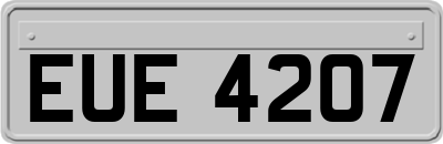EUE4207