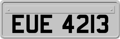 EUE4213