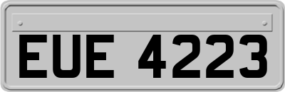 EUE4223
