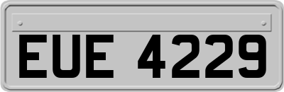 EUE4229
