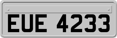 EUE4233