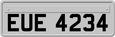 EUE4234