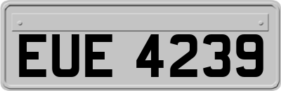 EUE4239