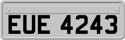 EUE4243