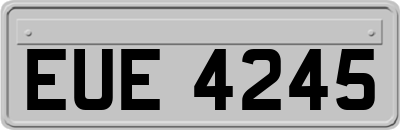 EUE4245