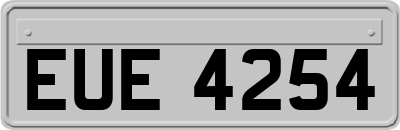 EUE4254