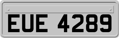 EUE4289