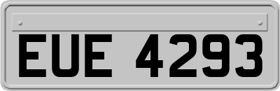 EUE4293