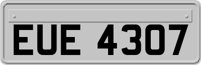 EUE4307