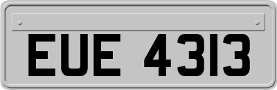 EUE4313