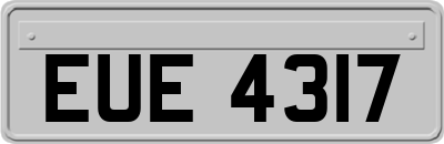 EUE4317