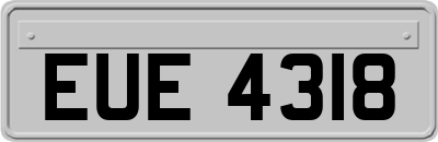 EUE4318
