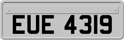EUE4319