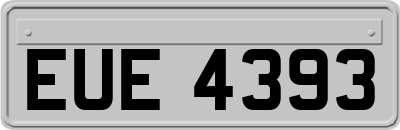 EUE4393