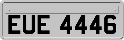 EUE4446