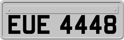 EUE4448