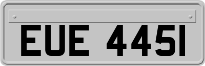 EUE4451