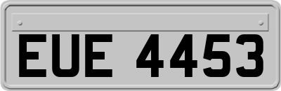 EUE4453