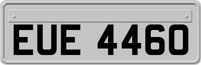 EUE4460