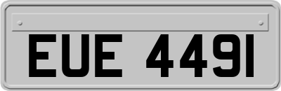 EUE4491