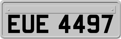 EUE4497