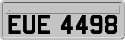 EUE4498