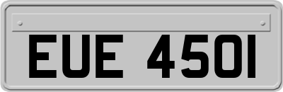 EUE4501