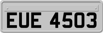 EUE4503