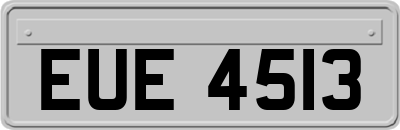 EUE4513