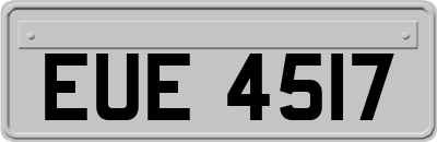 EUE4517