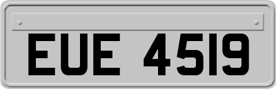 EUE4519