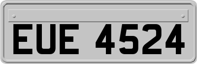 EUE4524