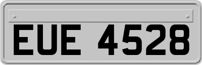 EUE4528