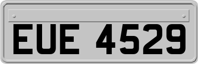 EUE4529