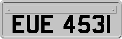 EUE4531
