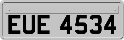 EUE4534