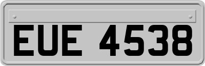 EUE4538