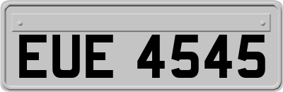 EUE4545